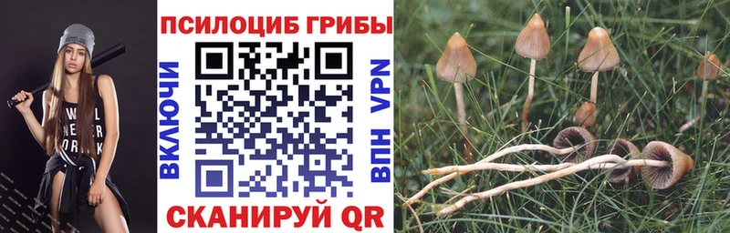 как найти закладки  Бугульма  Галлюциногенные грибы Magic Shrooms 